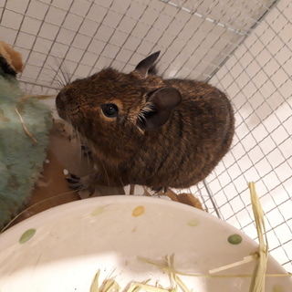 終了しました。