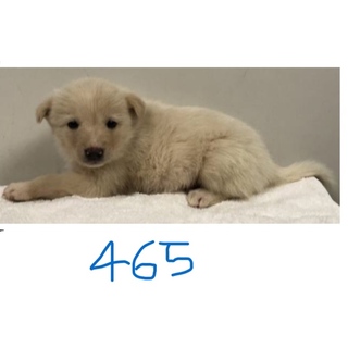 引き出されました