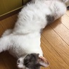 の写真