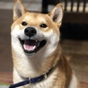響き