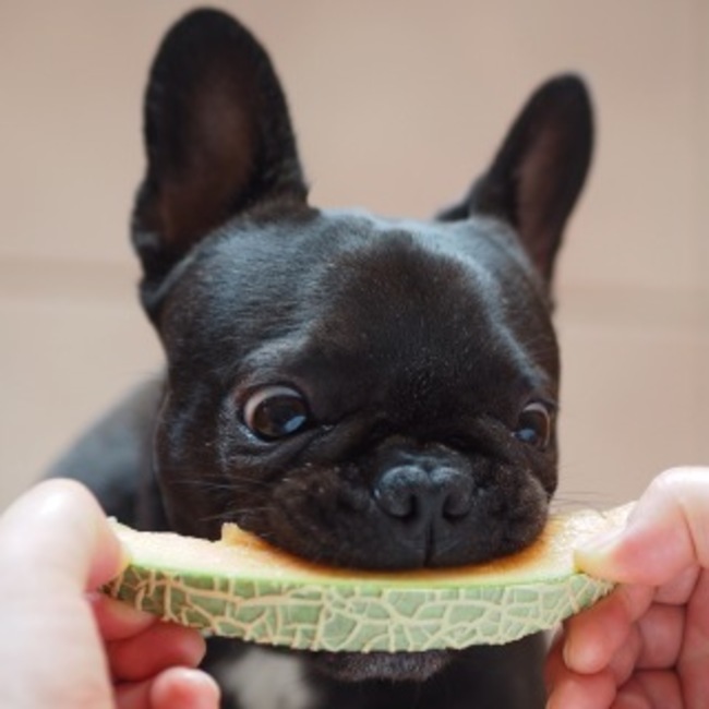 響きのカバー写真