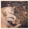 tilda