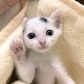 珠はここだよ