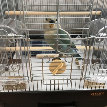だいぶたくましくなってきました！