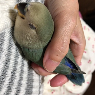 おネムの時はたまらなくキュート♡