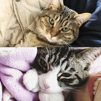 キラとララ