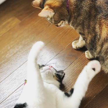 遊ぼうよぉ(∩˃o˂∩)♡