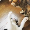 遊ぼうよぉ(∩˃o˂∩)♡