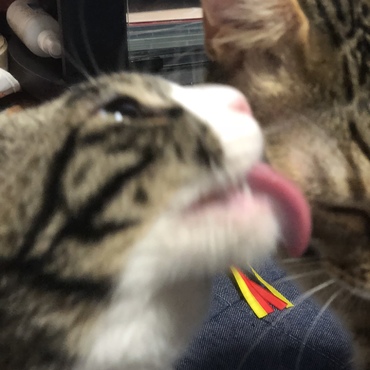 仲良し(๑•ᴗ•๑)♡