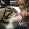 仲良し(๑•ᴗ•๑)♡