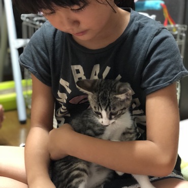 保護されたにゃん(≡^.^≡)♪