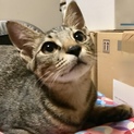 抱っこ大好き　おっとりくん