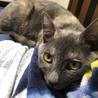 写真では分かりづらいかな？我が家に来た頃より倍くらいになりました(°▽°)