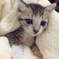 鉄蔵はここだよ 