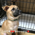 ゼロ君4ヶ月❣️