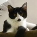 猫に優しい紅ちゃん