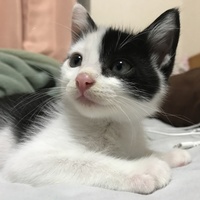 なでなで大好き【こじろう】