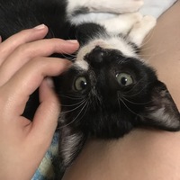 だっこ大好き【こたろう】