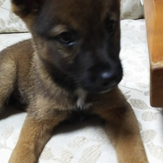 僕は癒された～い！！