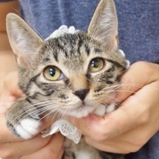 9/30後楽園★リルちゃん★白靴下４本はいてます