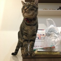 れお