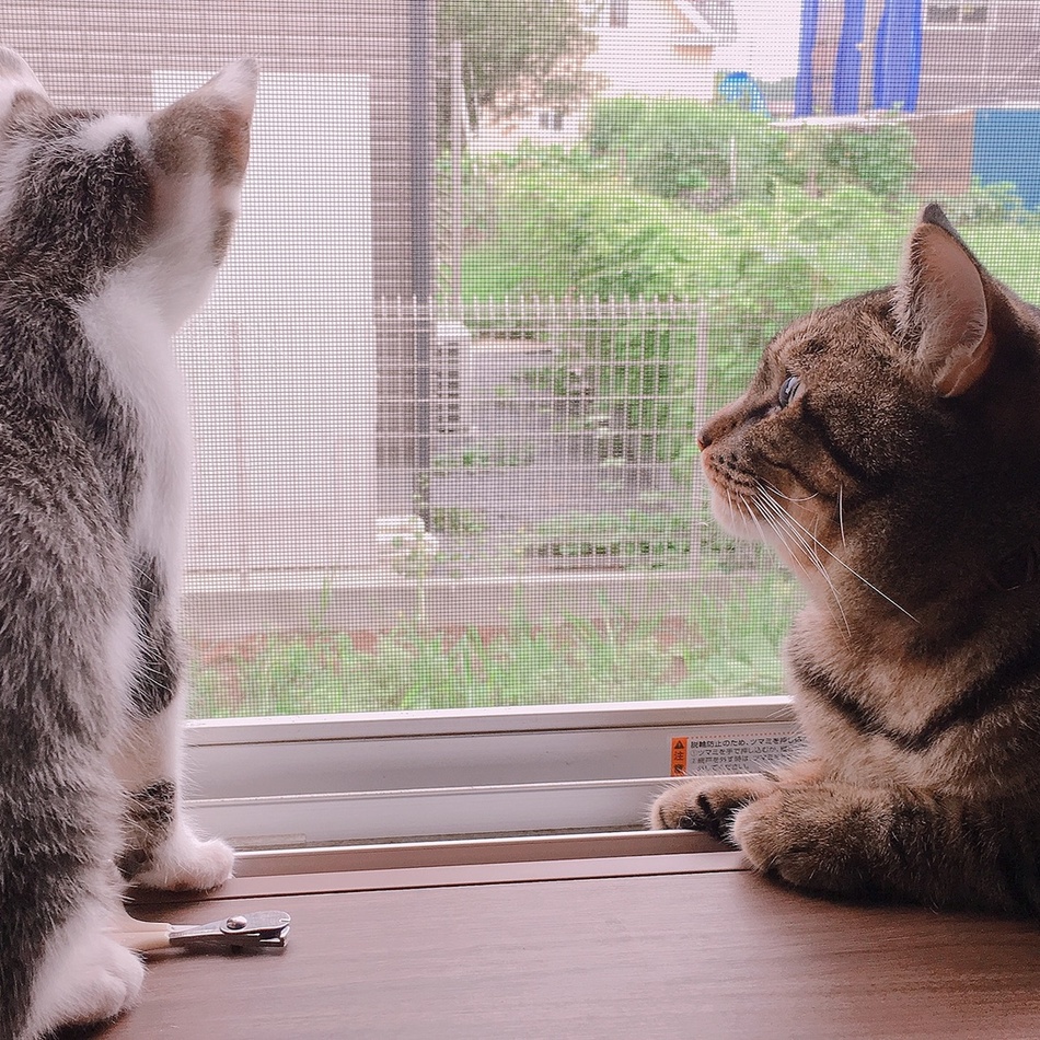 れおのカバー写真