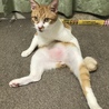 の写真