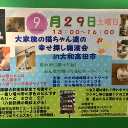 大家族の猫ちゃん達の幸せ探し譲渡会in大和高田市