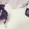 なかじまm さん