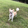 たくさん歩き、たくさん走りました