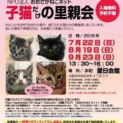 NPO法人おおさかねこネット 子猫だけの里親会