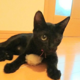 目の治療中☆幸せにしたいクル助