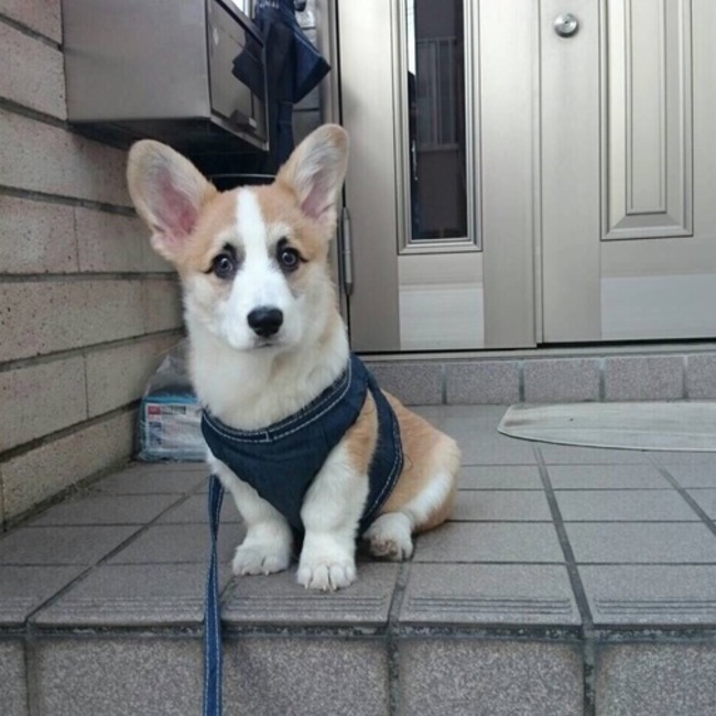 まぁぁぁぁぁあのカバー写真