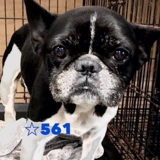 ☆５６１　とっても良い子♡