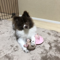 零