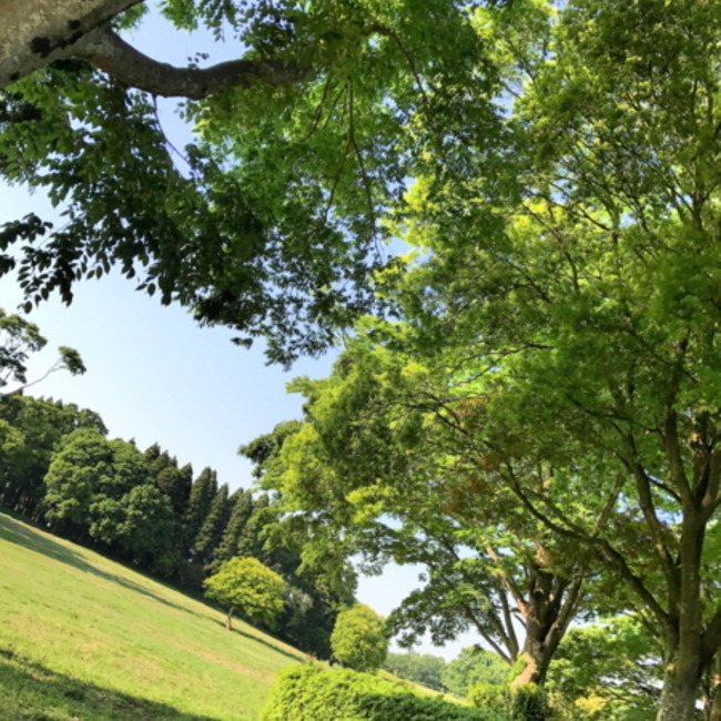 yuchabo7のカバー写真