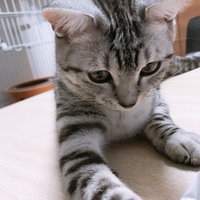 るか