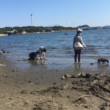 海日和