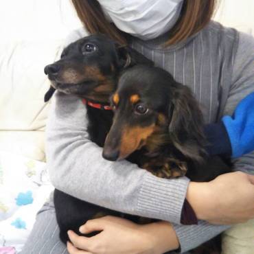 保護犬カフェに里帰り お友達に再開