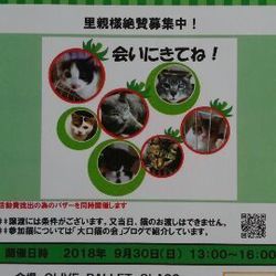 大口町元気なまちづくり事業　第１３回大口猫の会譲渡会