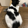 の写真