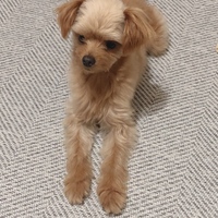 くぅ
