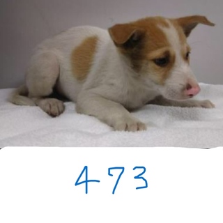 引き出されました。