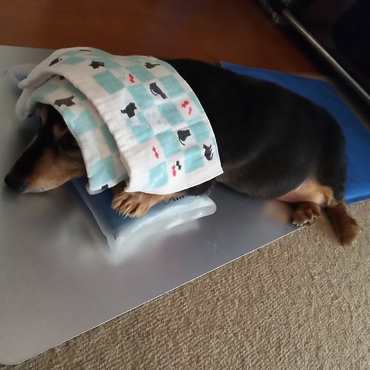 今年の夏は酷暑でしたねぇ(>_<)