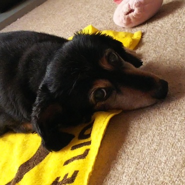 上目遣いが可愛いです(*≧∀≦*)