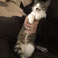 るん(るんげ)