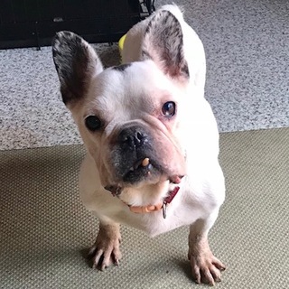 その名は「クリスティーヌ」です。