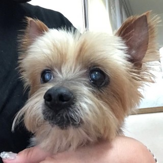 穏やかで優しい女の子♪