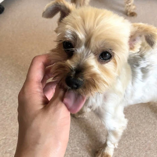 根尾（ねお）人が大好きな甘えん坊