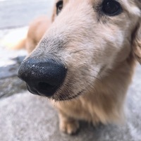 ハッピー